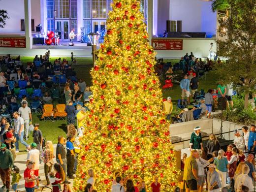 christmas tree