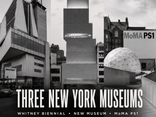 photos of the Whitney Biennial, the New Museum, and MoMA PS1