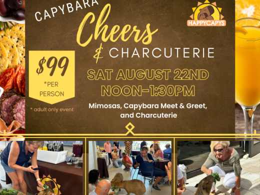 Experience Capybaras and have Mimosas w/ Charcuterie 