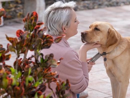 A young woman with light blond hair interacts with a yellow Labrador retriever.