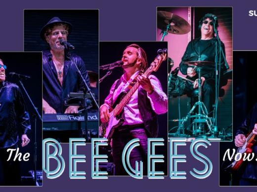Bee Gees Now, Sarasota, February, 2027