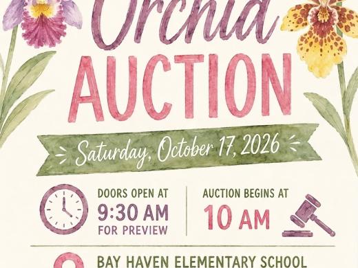 Orchid auction flyer