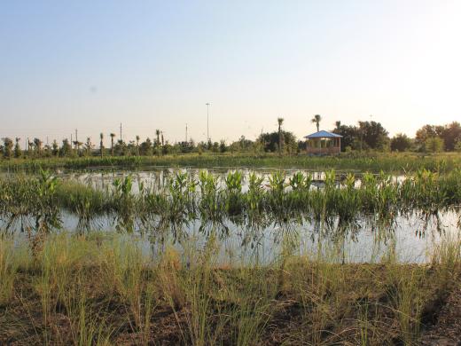 Community members are invited to enjoy a morning in nature, as Big Waters Land Trust and Sarasota Audubon Society celebrate the grand opening of the Southeast Quad adjacent to the Celery Fields on October 24