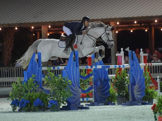 Horse jumping big jump in front of big crowd