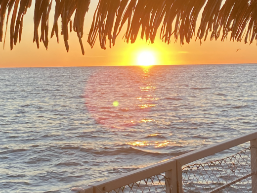 Barefoot Tiki Tours