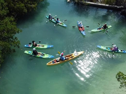 Sarasota Kayak Rentals
