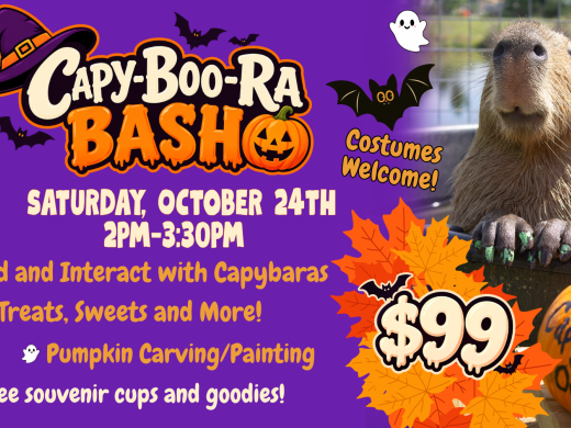 ENJOY A CAPYBARA HALLOWEEN!