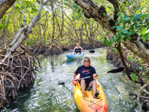 Kayaking at the Lido Mangrove Tunnels - A beautiful and easy paddle through the mangrove tunnels with SURFIT USA. Photo