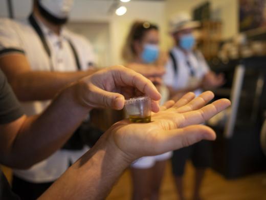 Olive Oil Tasting Photo 7