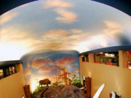 422_640x480.jpg - Great Hall of the South Florida Museum Photo 2