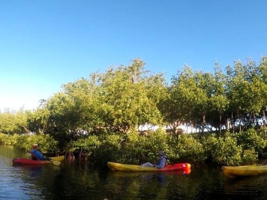 Kayak The Bay Bayou - RideAndPaddleTheBay.com Photo 11