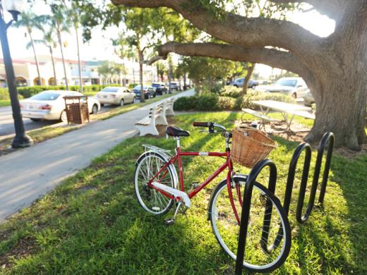 Centennial Park Photo