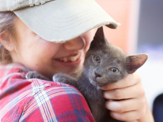 Cat Depot Photo