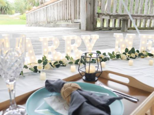 Park Proposal - Sun Served Bespoke Picnics serves Sarasota and surrounding areas with Luxury picnics, proposals, micro-weddings, anniversaries, room decor, flower boxes, custom gifts, breakfast bas... Photo 21