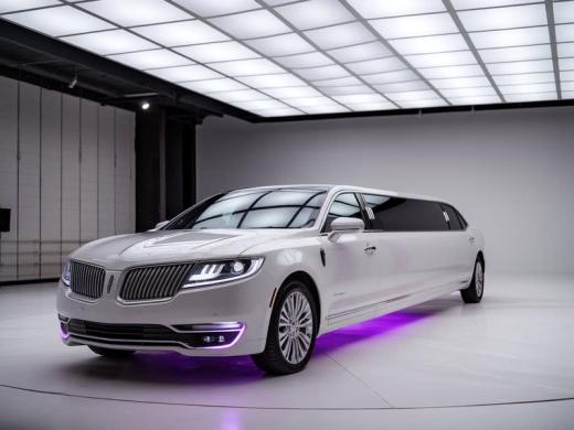 price 4 limo sarasota Photo 8