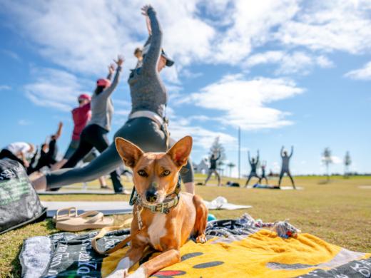 Outdoor Yoga Photo 2