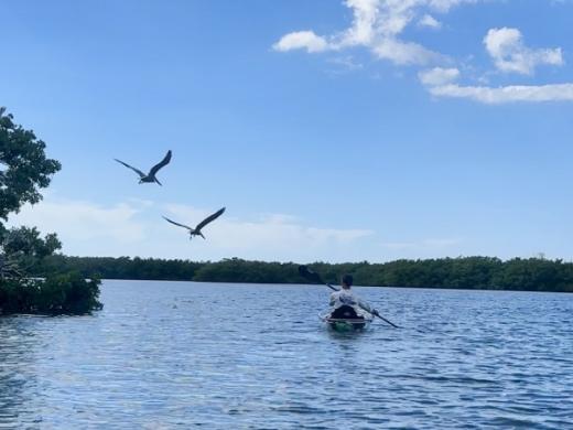 Florida Ecotours 1 Photo
