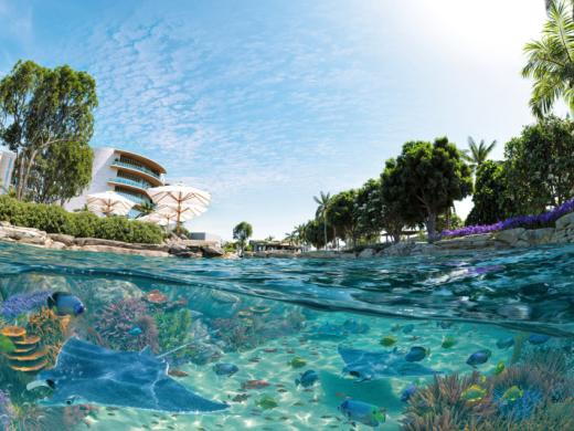 Lagoon Photo 6