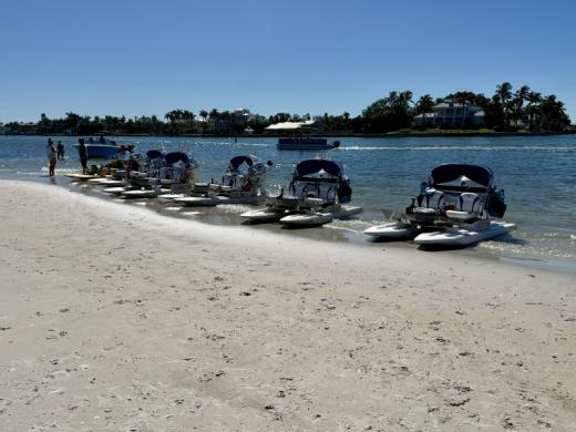 HydroCats 5 Photo 5