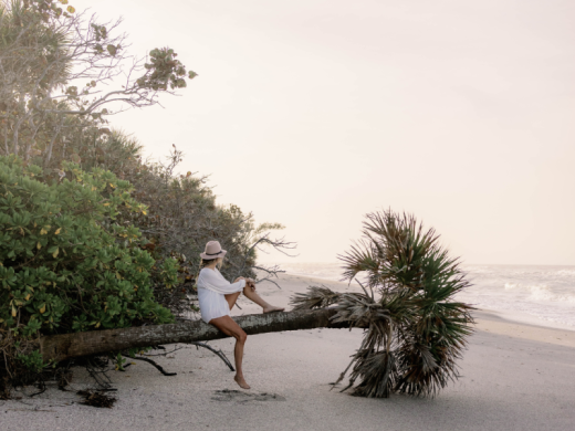 Manasota Beach Club Tree Photo 3