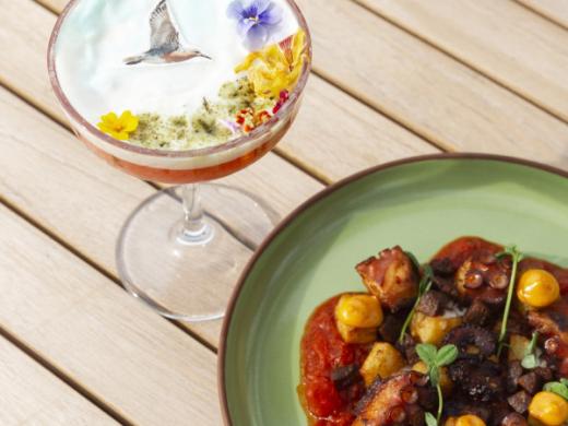 Rufa Hummingbird Drink Photo 4