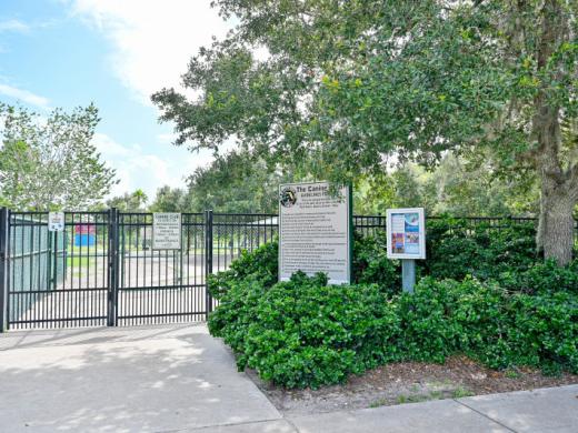 Canine Dog Park Photo