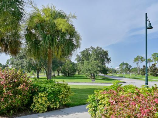 City Center Front Green Photo