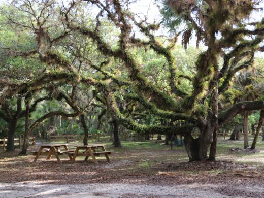 Oaks Park Photo