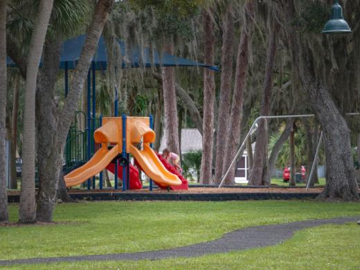 Pine Park Photo