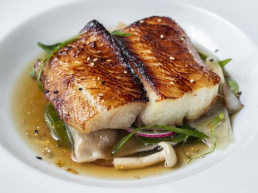 Ocean Prime Miso Black Cod - Ocean Prime Miso Black Cod Photo 6