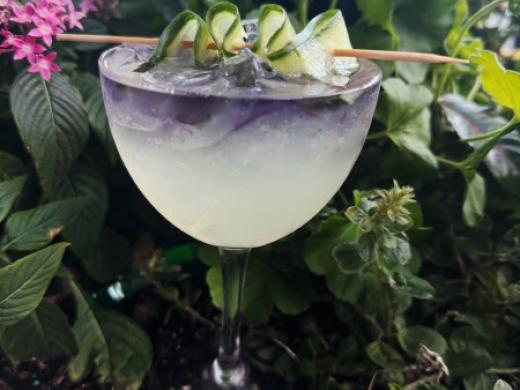 Lefty's Garden Drink Photo 5