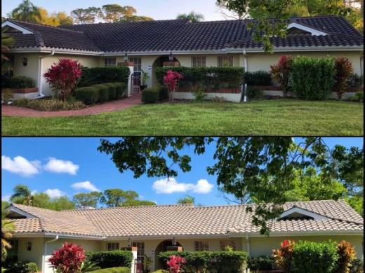 Gorilla Kleen Residential Roof Photo 4