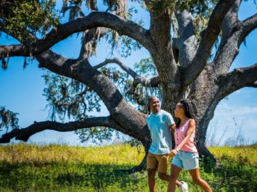 Walking Couple - A couple walking through Myakka River State Park Photo
