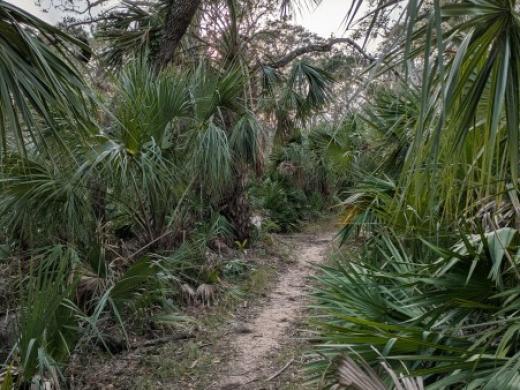 SRQ Vortex path Photo