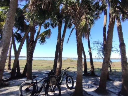 SRQ Vortex bikes Photo 5
