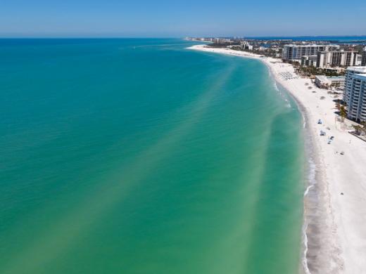 Sarasota and Me Beach Photo