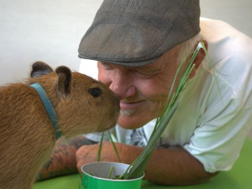 Happy Capys Yoga Photo