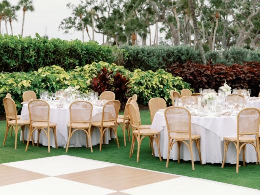 Stella Rose Outdoor Photo 5