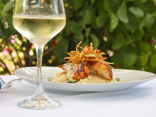Savor Sarasota 2026 #1 Photo