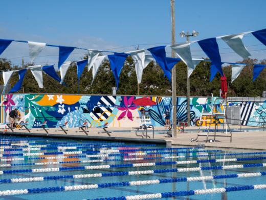 Rhapsody in Bloom mural by Alissa Silvers - The City of Sarasota Public Art Program partnered with the Arlington Park & Aquatic Complex to bring new color and creativity to the Lifeguard Headquarte... Photo 7