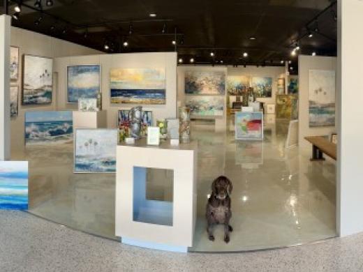 Boulevard Fine Art South Gallery Inside w-Dog Photo 3