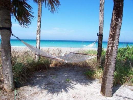 2441_640x480.jpg Photo