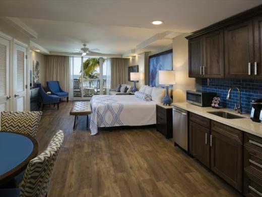 Suite kitchen Photo 20