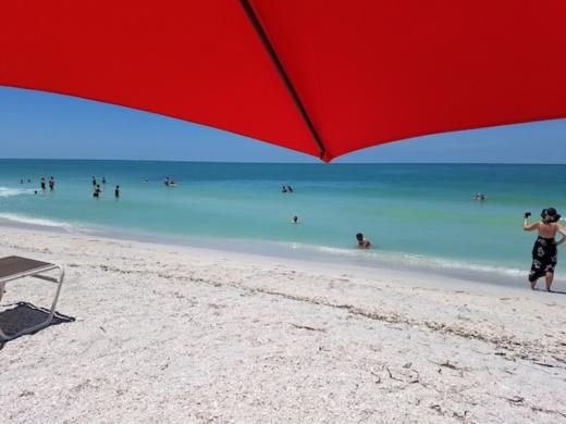Sarasota is a beautiful spot - Another day at the beach! Photo 12