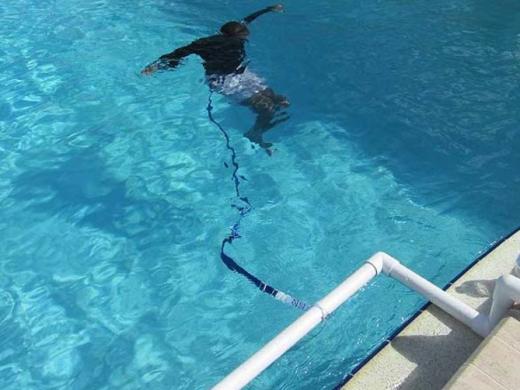 Tethered to the wall... - Tethered to the wall, he feels safe to try things. He can come back any time and rest. Photo 13