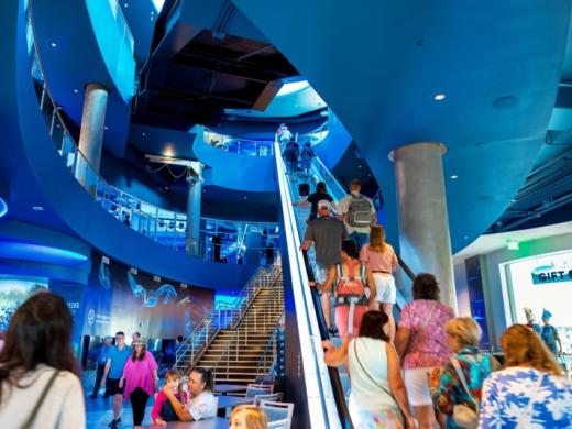 Mote SEA Crowds 2025 Photo 5