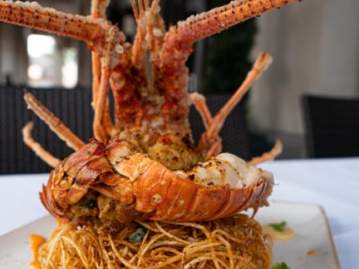 Lobster Special Photo 14