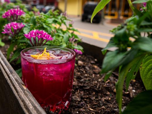 Cocktail Photo 16