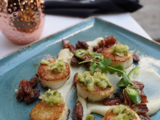 Scallops Photo 10