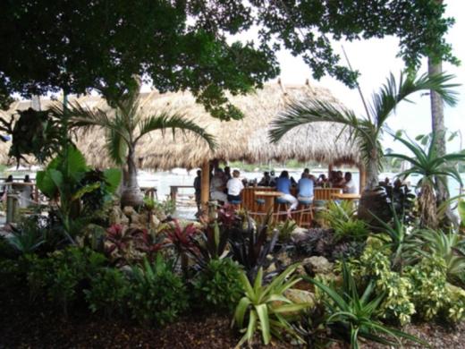 588_640x480.jpg Photo